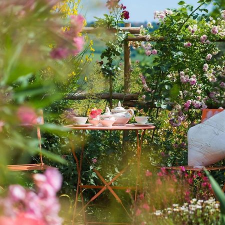 Le Rose Di Montagnana Villa San Gimignano Ngoại thất bức ảnh