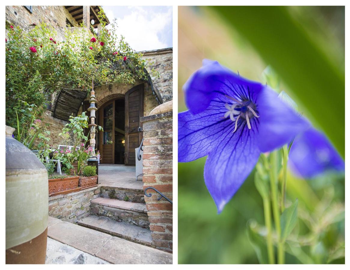 Le Rose Di Montagnana Villa San Gimignano Ngoại thất bức ảnh