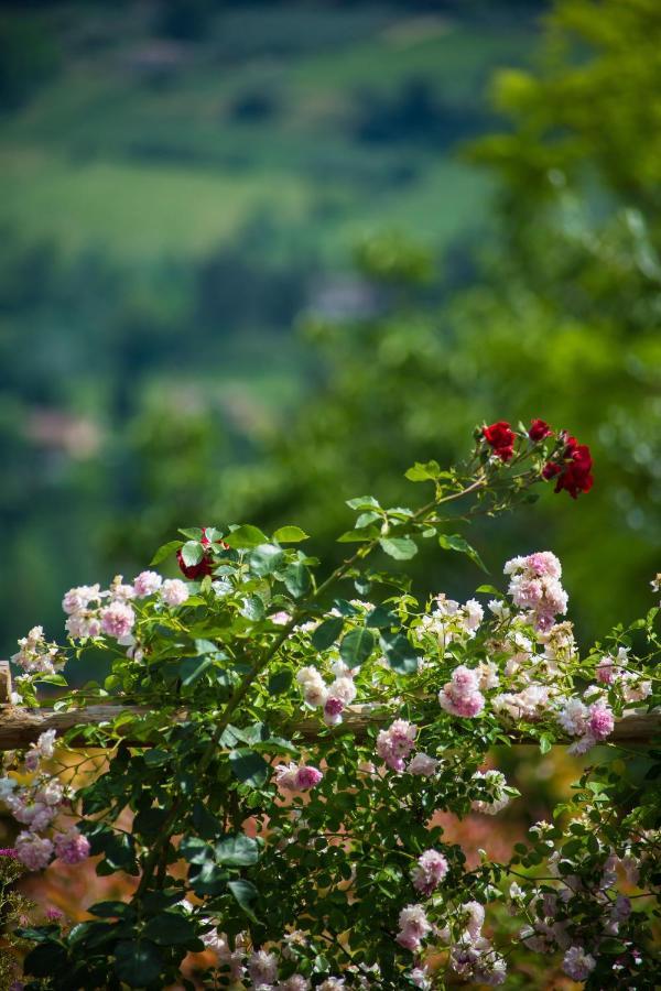 Le Rose Di Montagnana Villa San Gimignano Ngoại thất bức ảnh